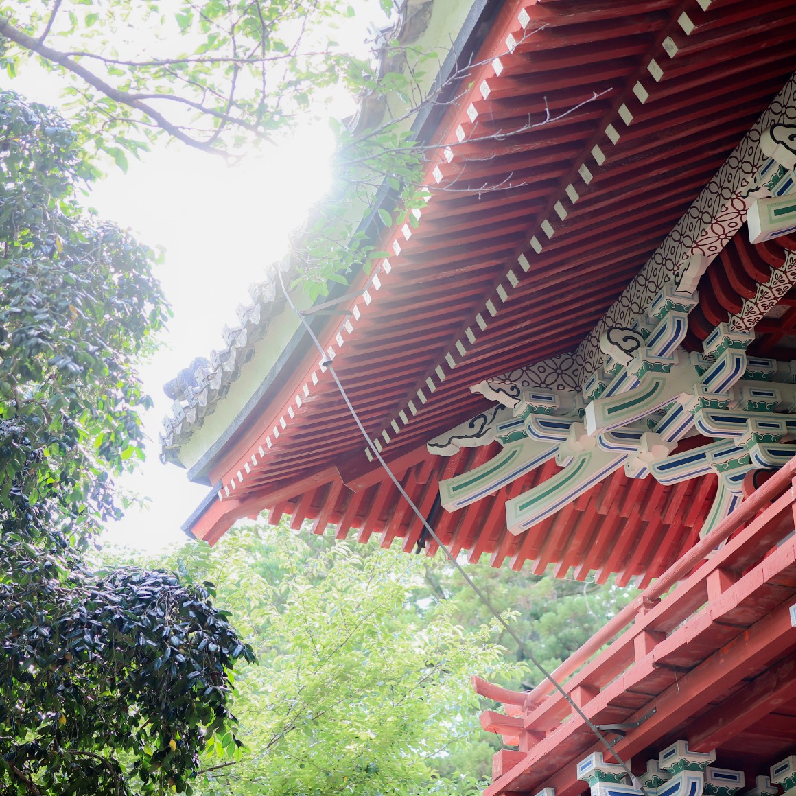 祭り-7月-🏮✨️🪭✨️🏮