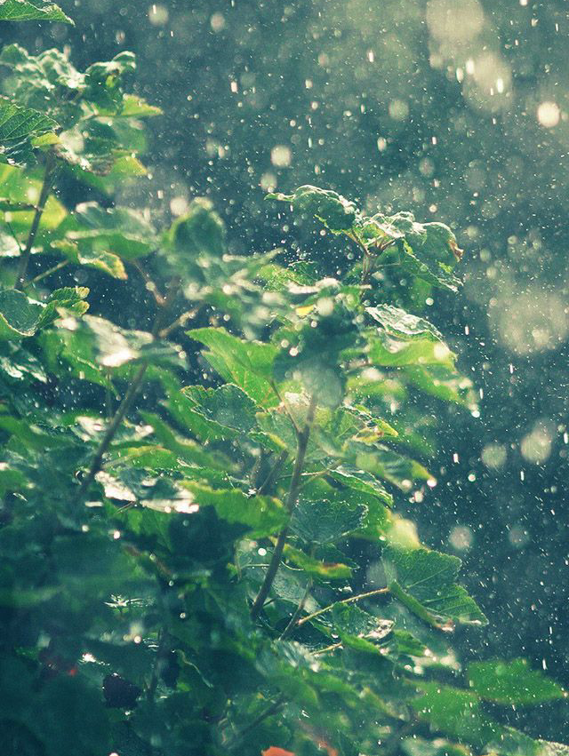 今コレ写真 お天気ver