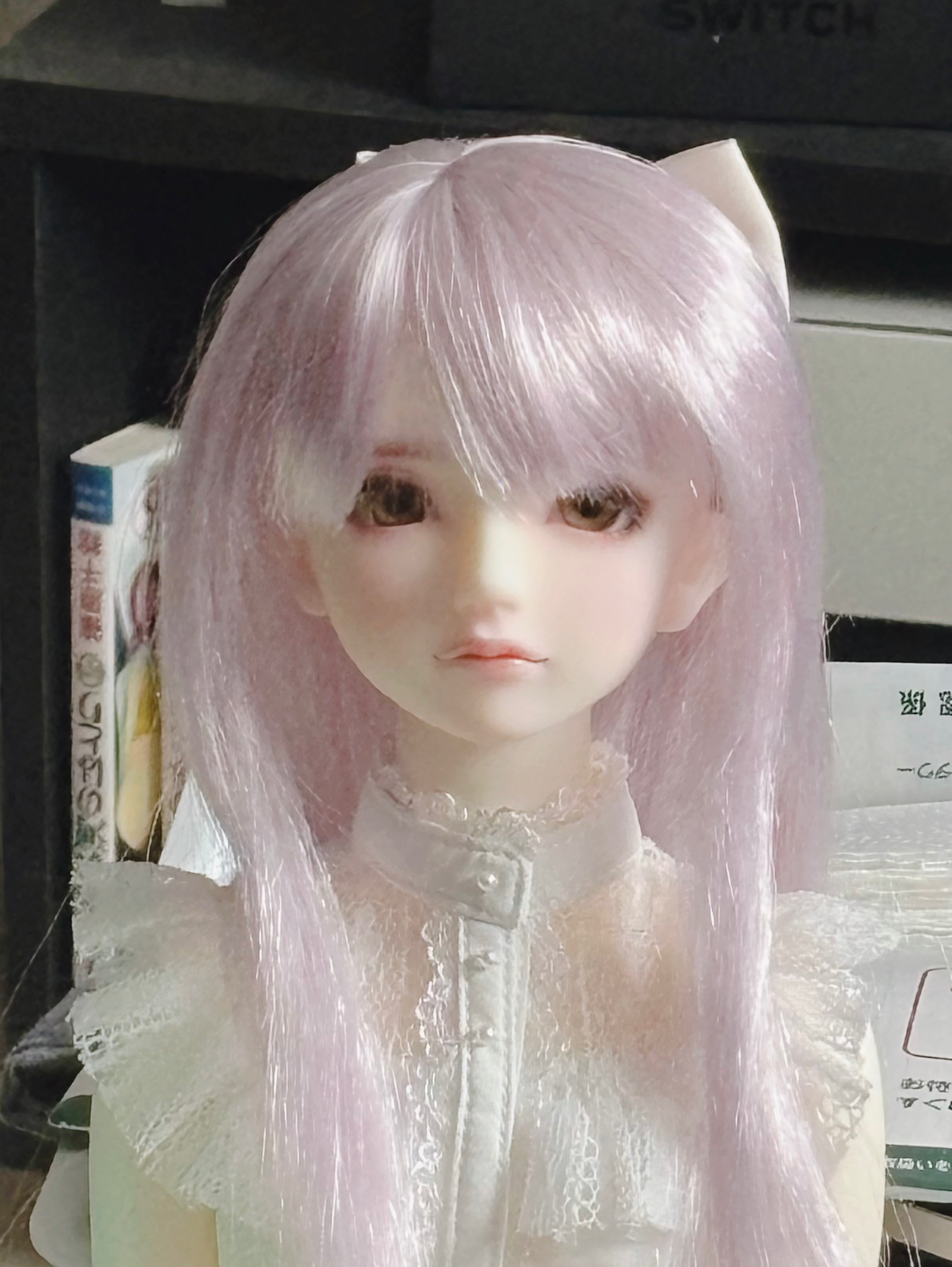 ドール/ぬいぐるみをお迎えしたきっかけ