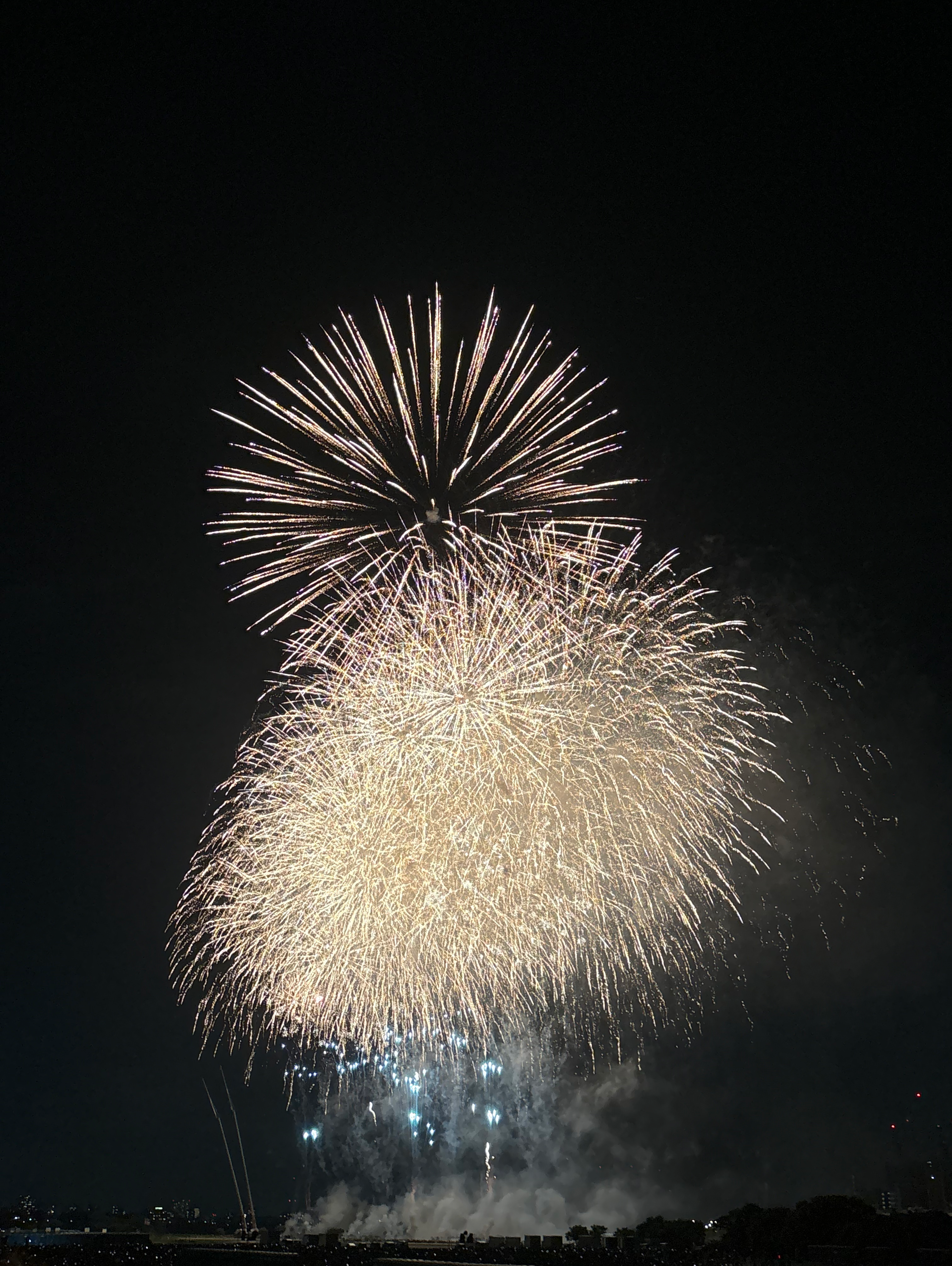 第51回江戸川花火大会