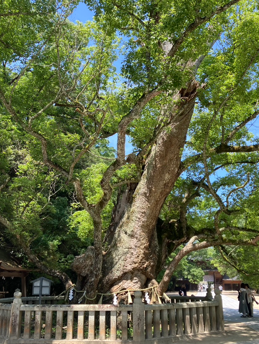愛媛の他県民に自慢できる場所