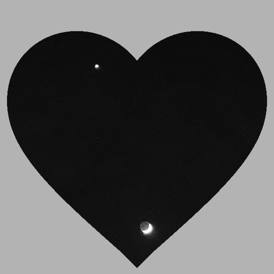 ネガティブの星