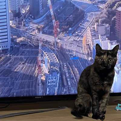 猫好きの星