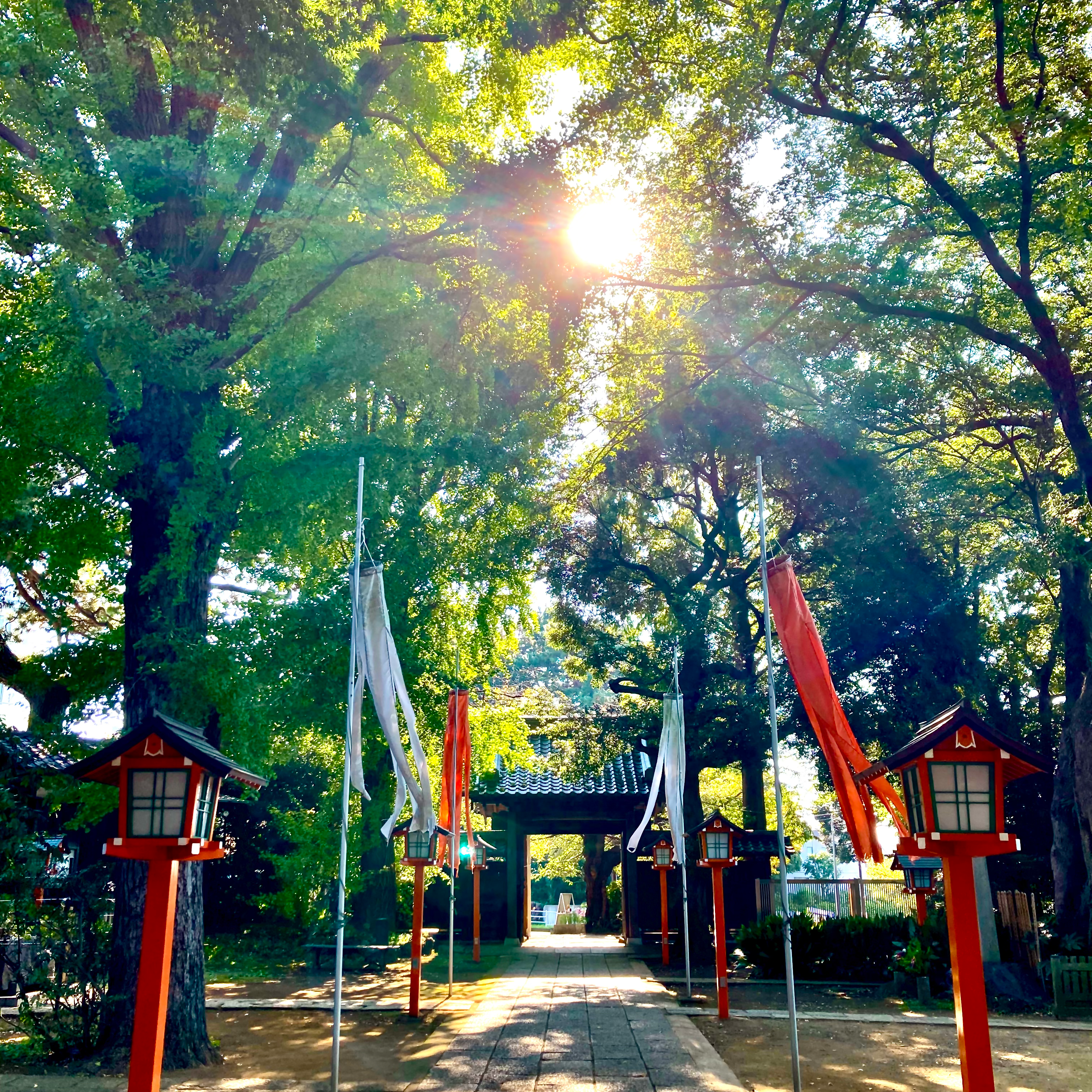 風景の星