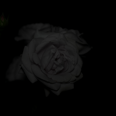 ボツ写真の星