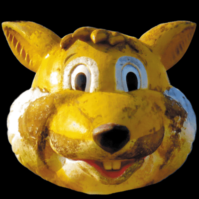 ドングリスの星