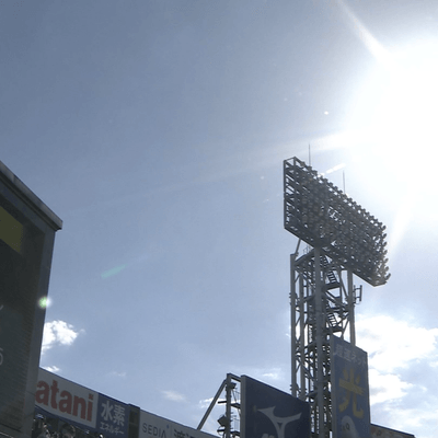 高校野球の星