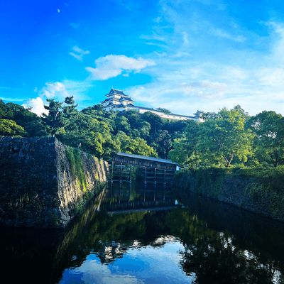 和歌山の星