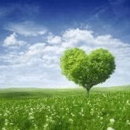 恋する大人の星