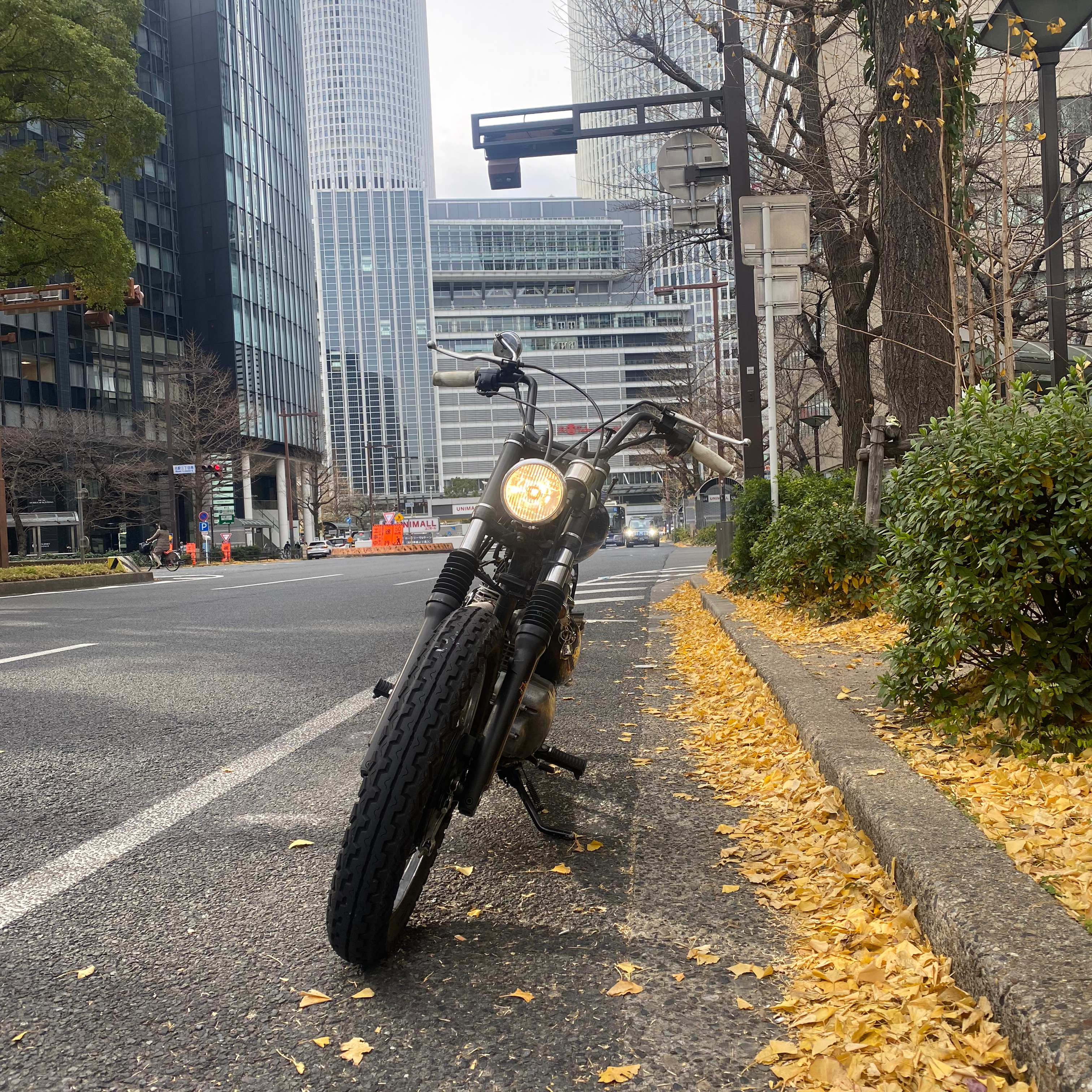 チョッパーの星