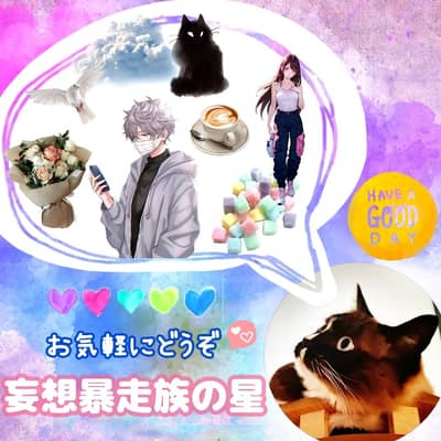 妄想暴走族の星