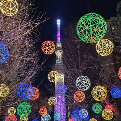 夜景大好きな人の星