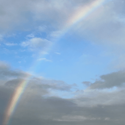 強迫性障害の星