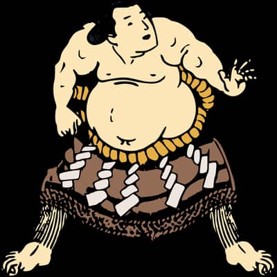 大相撲の星