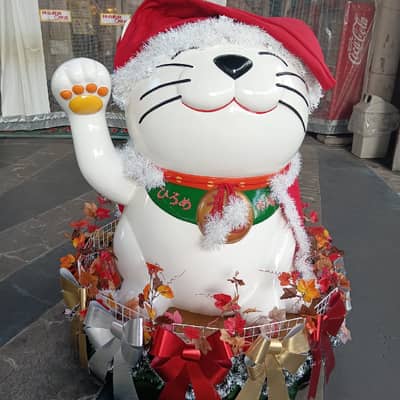 高知家の星