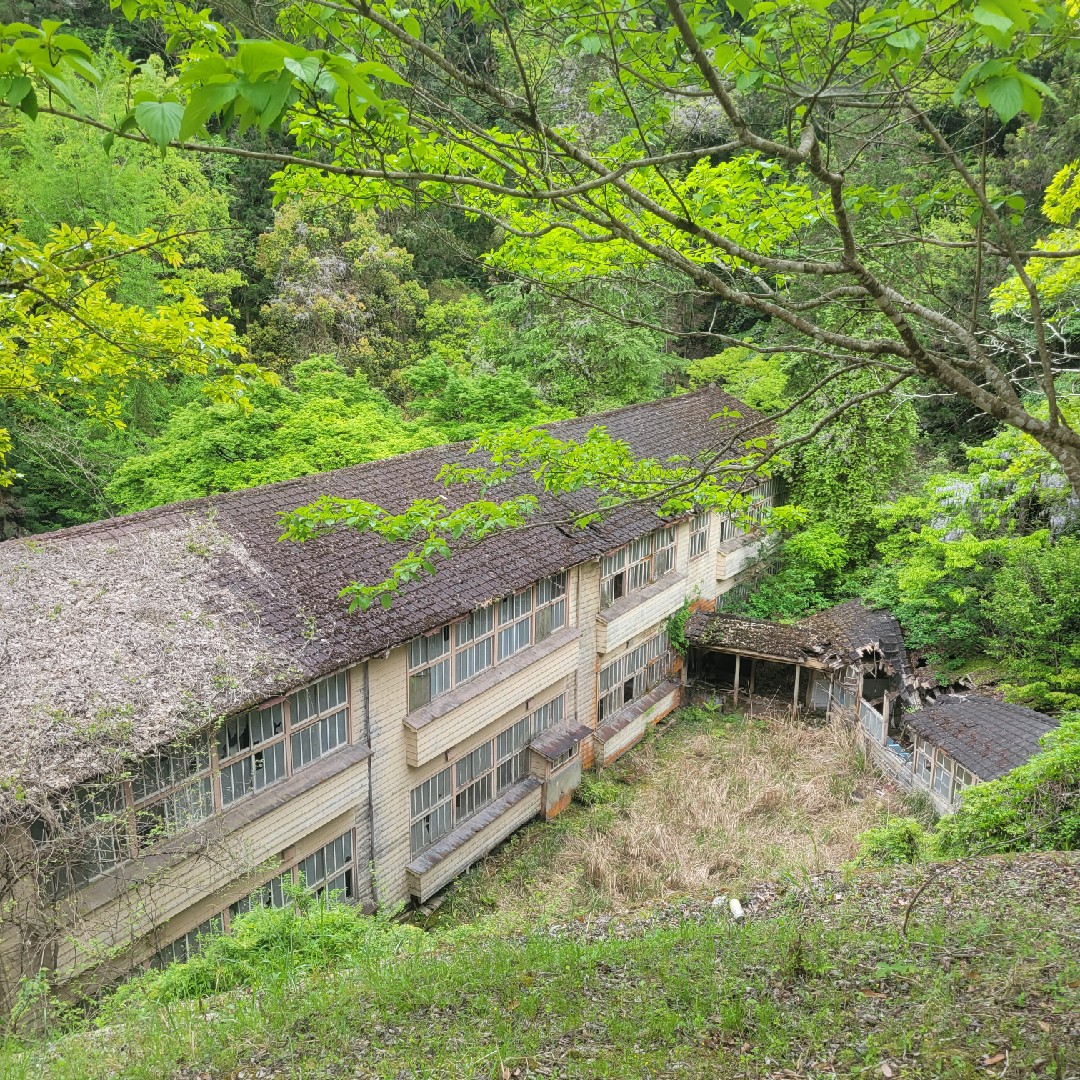 ノスタルジックの星