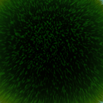 バーチャルまりもの星