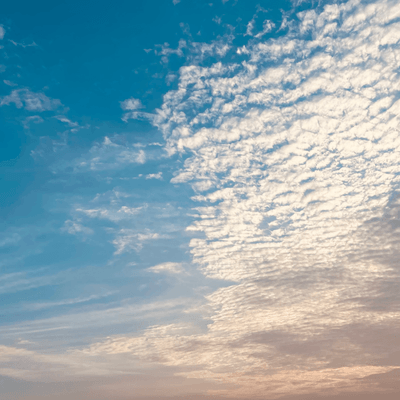 フォークソングの星