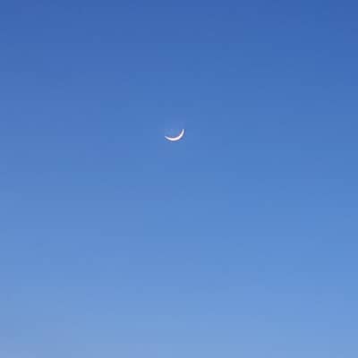 ちっちゃい自慢