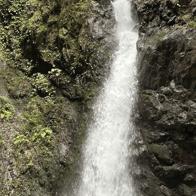 吐き出していいよ