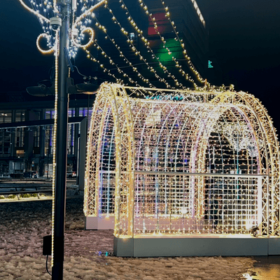 精神疾患者の星🍀