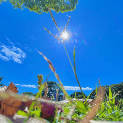 イマソラ