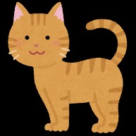 ねこだけのほし