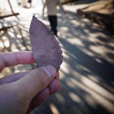 社会を憎む者の星
