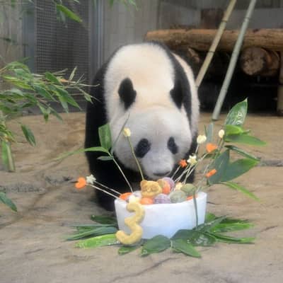 幸せをお届けする