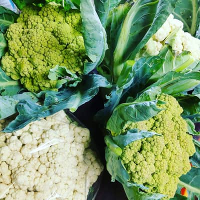 野菜大好きの星