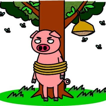 好きゅばだァの星