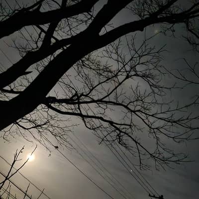 ちょっと語りたい