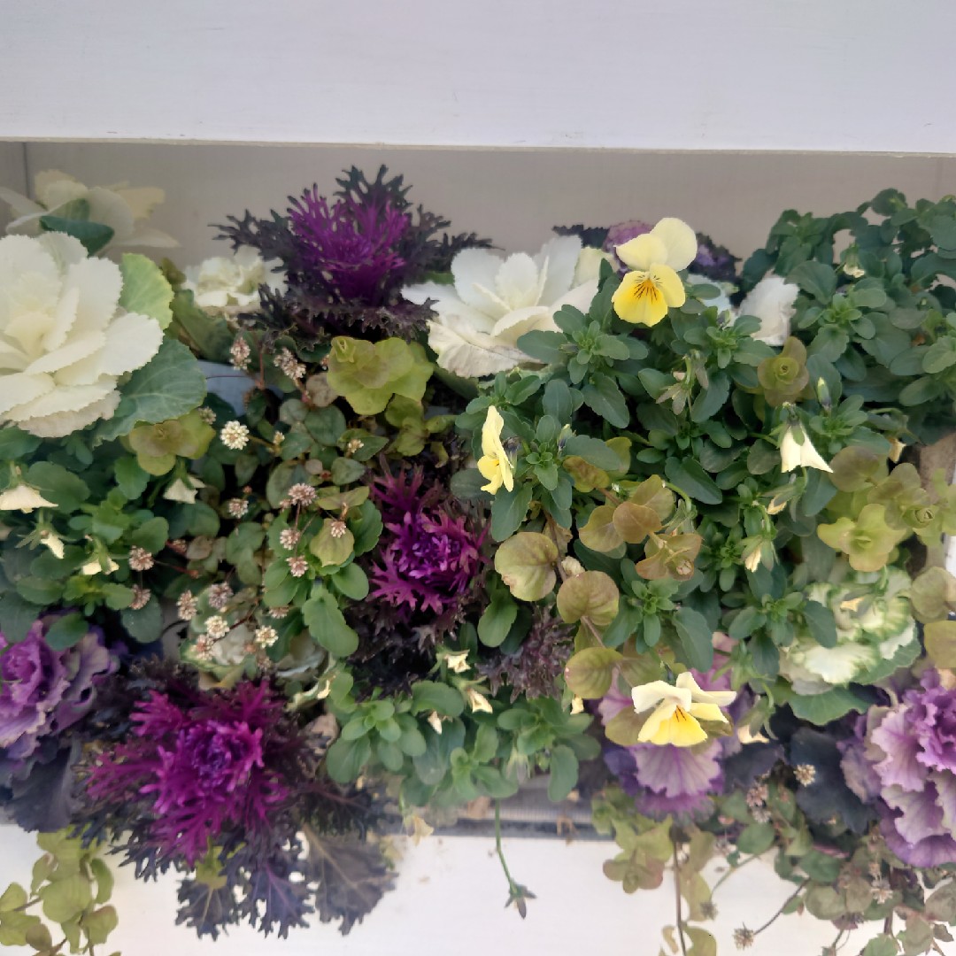 あれなんだっけ？