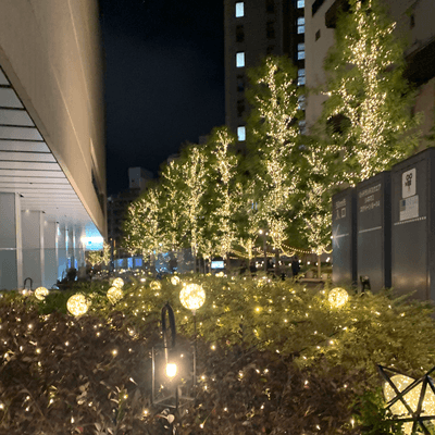 あいち住みの星