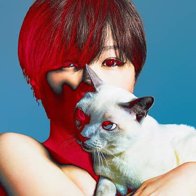 椎名林檎・事変の星
