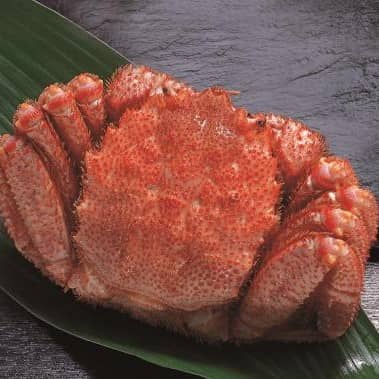 雑談・相談の星