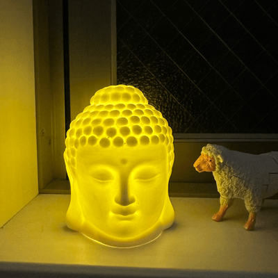 頑張れない人の星