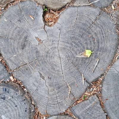 ひとりごとのようなもの星