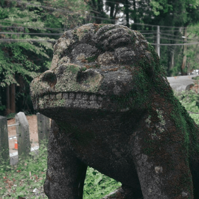 モキュメンタリーの星