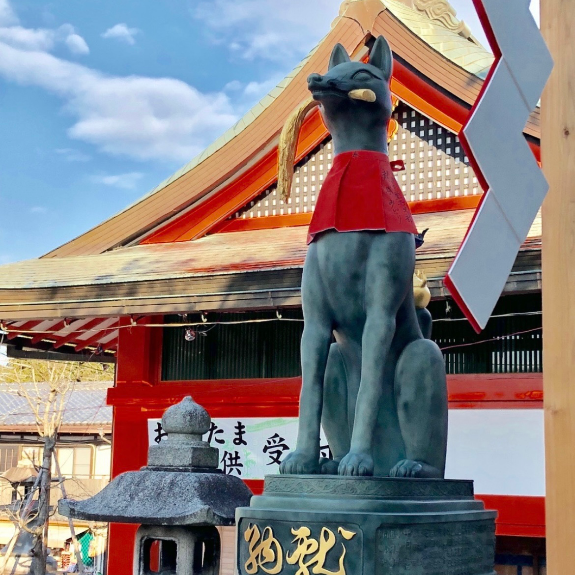 京都の星