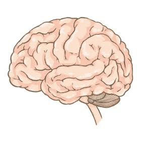 認知科学の星の星