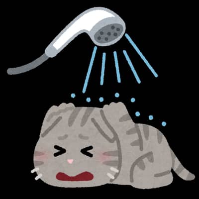 風呂ギャン泣き界隈の星