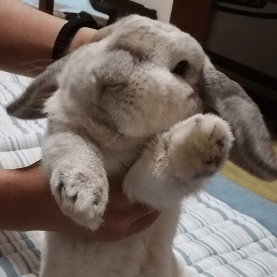 ひきこもりの星