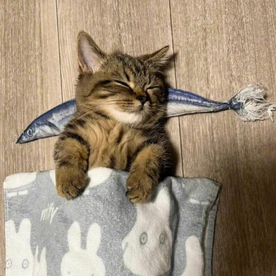 いっぱい寝るの星