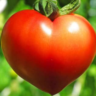 誰かと繋がりたい