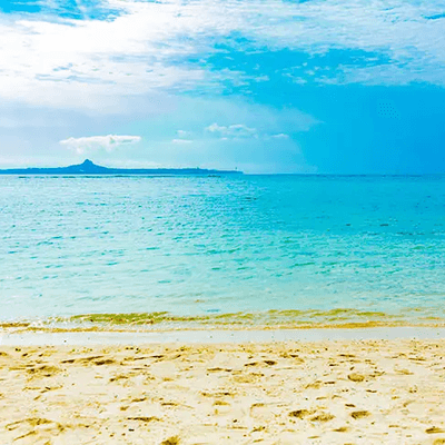 政治経済の星🌟