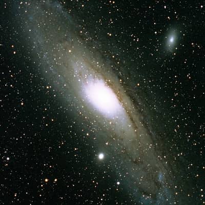 まるがおファミリー