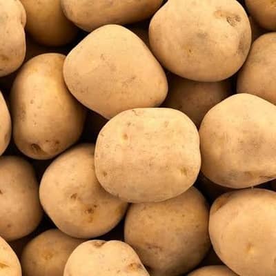 じゃがいもの星