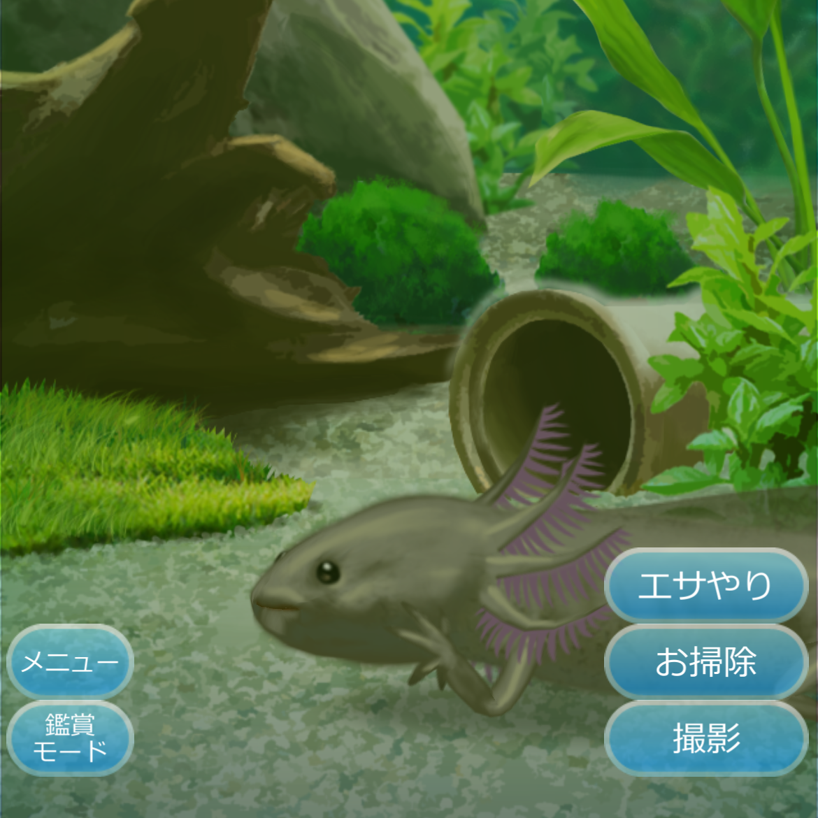 めんどくさがりやの星