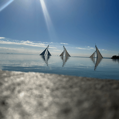 ホームタウンの星